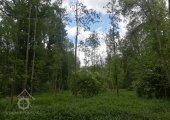 Miletický mlýn